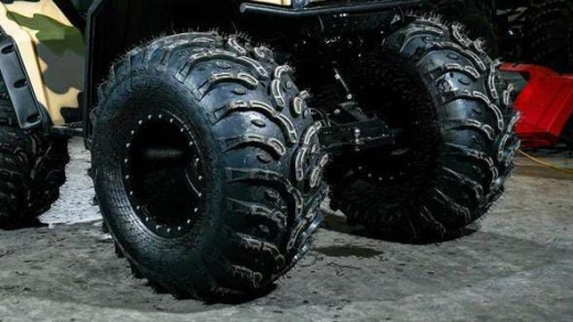 Шина "Багира" (1200 х 530)