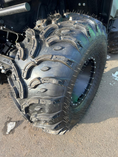 Шина "Багира" (1200 х 530)